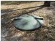 Lot 2 Thorne Lane , (off Dalcouth Road), Stanthorpe QLD 4380