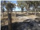L10 Greaney Road, Greenlands, Greenlands QLD 4380