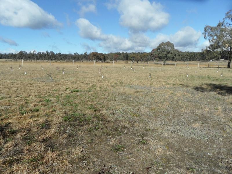 L10 Greaney Road, Greenlands, Greenlands QLD 4380