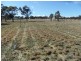 L10 Greaney Road, Greenlands, Greenlands QLD 4380
