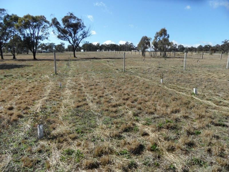 L10 Greaney Road, Greenlands, Greenlands QLD 4380