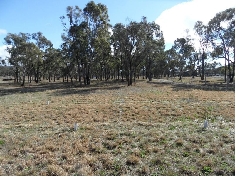 L10 Greaney Road, Greenlands, Greenlands QLD 4380