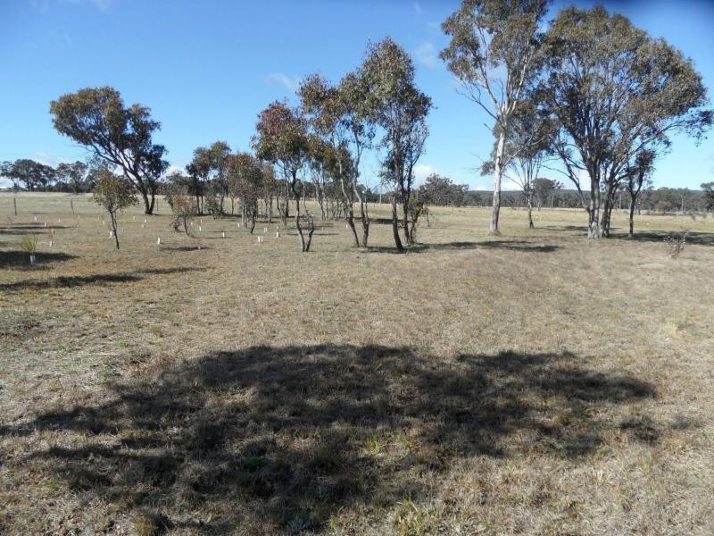 L10 Greaney Road, Greenlands, Greenlands QLD 4380