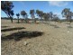 L10 Greaney Road, Greenlands, Greenlands QLD 4380