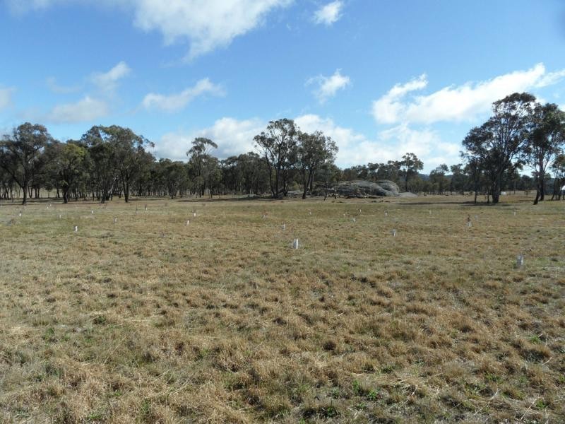 L10 Greaney Road, Greenlands, Greenlands QLD 4380