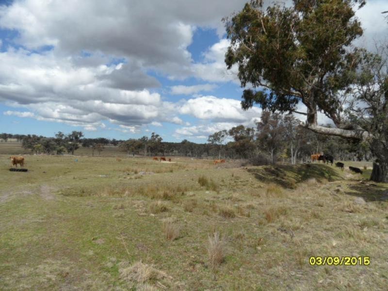 62 Glen Niven Road, The Summit, Stanthorpe QLD 4380