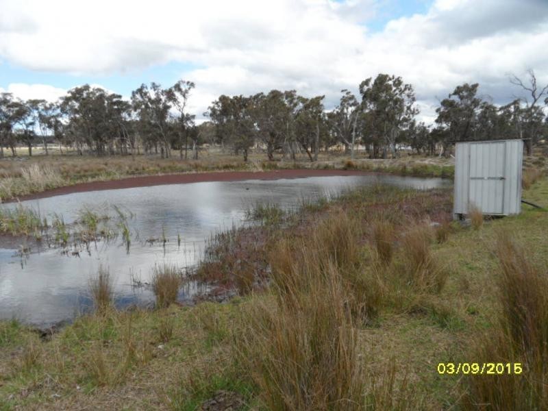 62 Glen Niven Road, The Summit, Stanthorpe QLD 4380