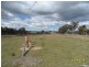 62 Glen Niven Road, The Summit, Stanthorpe QLD 4380