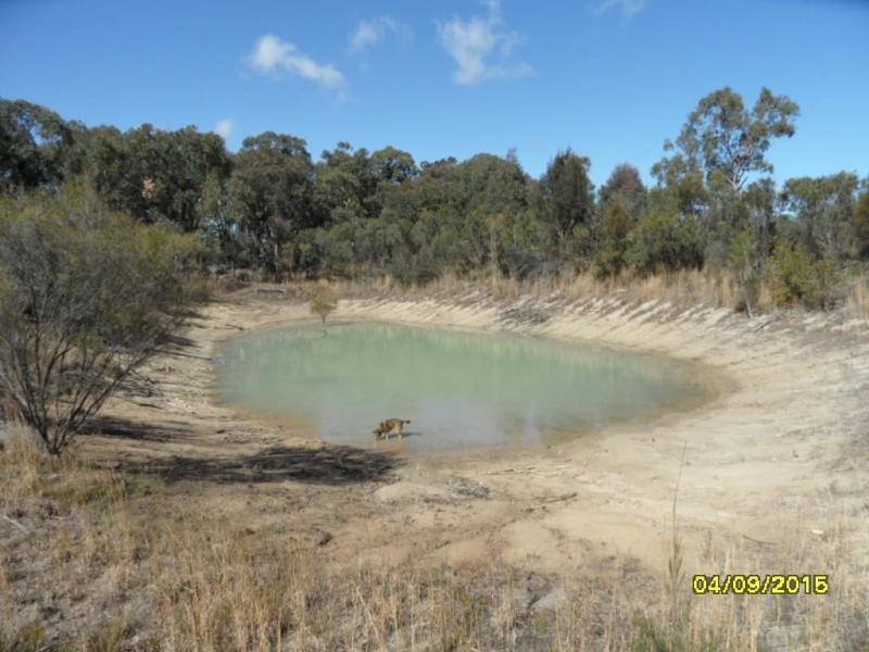 113 Pegum Road, Applethorpe, Stanthorpe QLD 4380