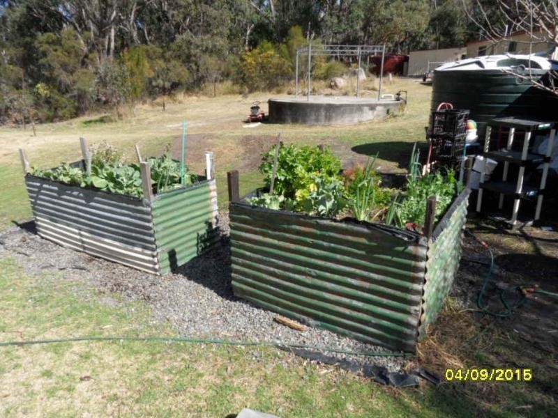 113 Pegum Road, Applethorpe, Stanthorpe QLD 4380