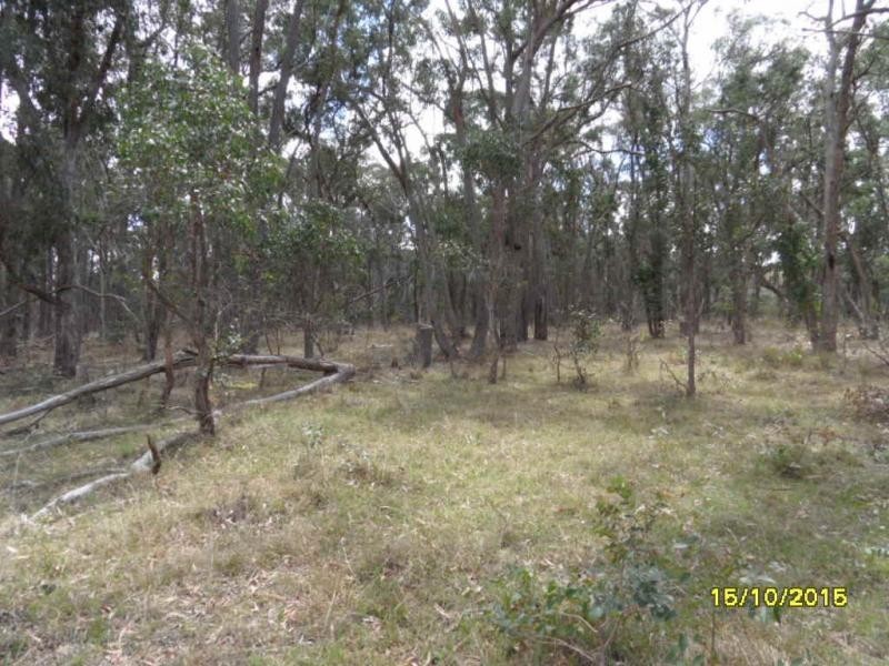 L49 Nielsen Road, Kyoomba, Stanthorpe QLD 4380