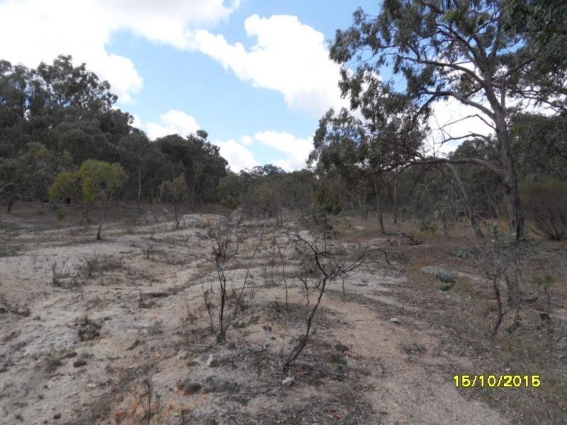 L49 Nielsen Road, Kyoomba, Stanthorpe QLD 4380