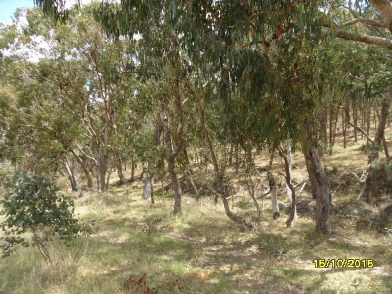 L49 Nielsen Road, Kyoomba, Stanthorpe QLD 4380
