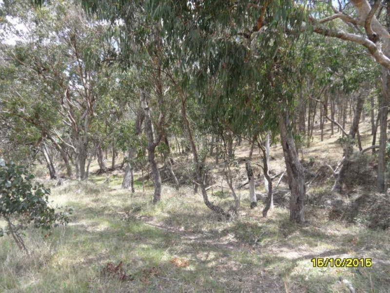 L49 Nielsen Road, Kyoomba, Stanthorpe QLD 4380