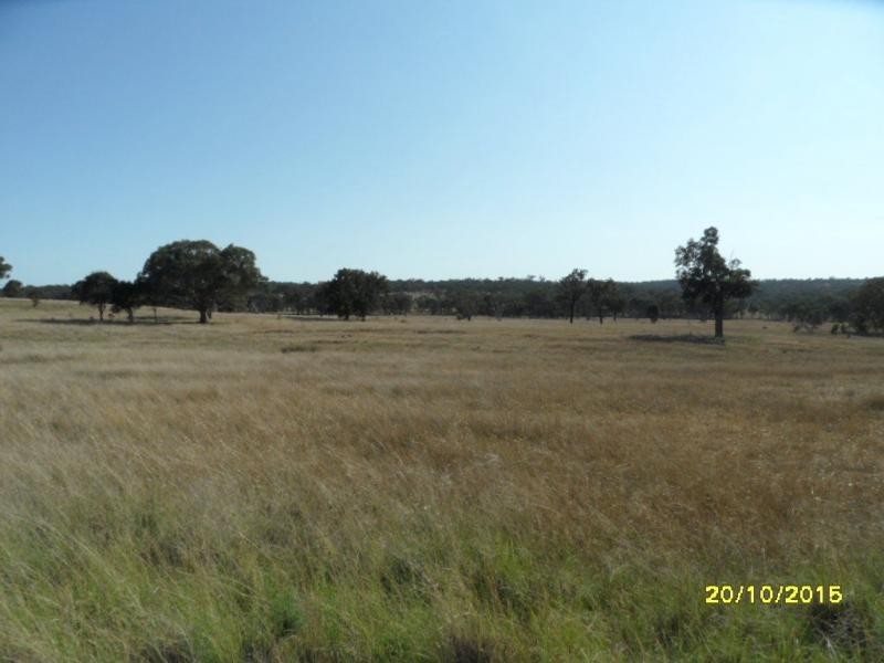 L230 Mt Janet Road, Stanthorpe, Stanthorpe QLD 4380