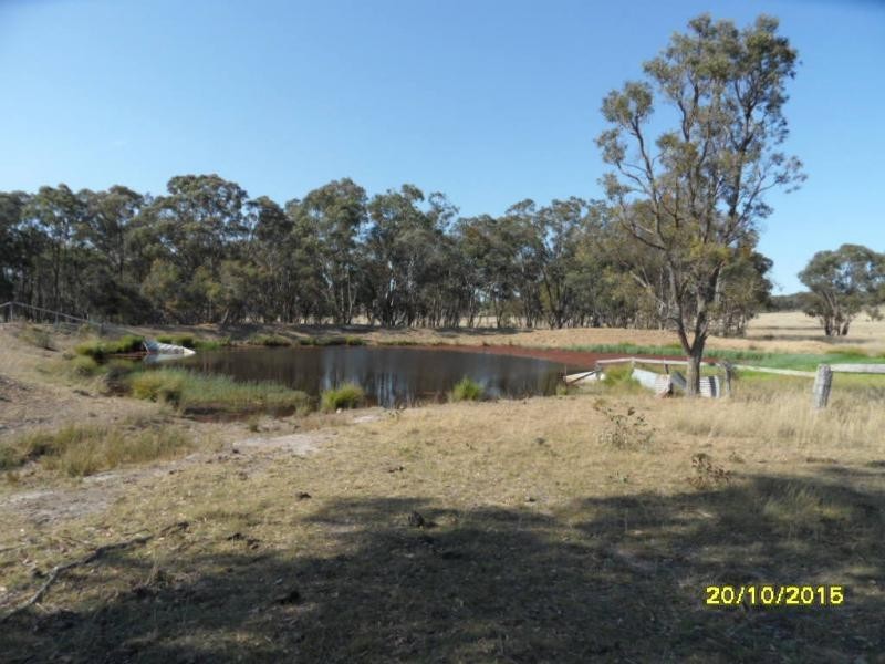 L230 Mt Janet Road, Stanthorpe, Stanthorpe QLD 4380