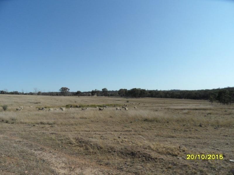 L230 Mt Janet Road, Stanthorpe, Stanthorpe QLD 4380