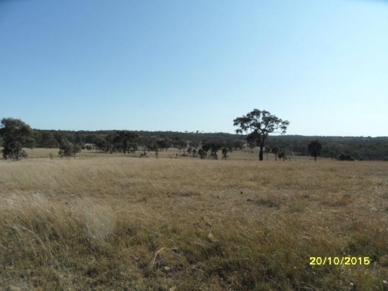 L230 Mt Janet Road, Stanthorpe, Stanthorpe QLD 4380