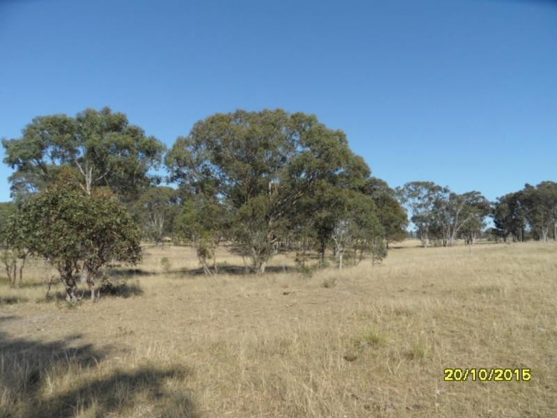 L230 Mt Janet Road, Stanthorpe, Stanthorpe QLD 4380