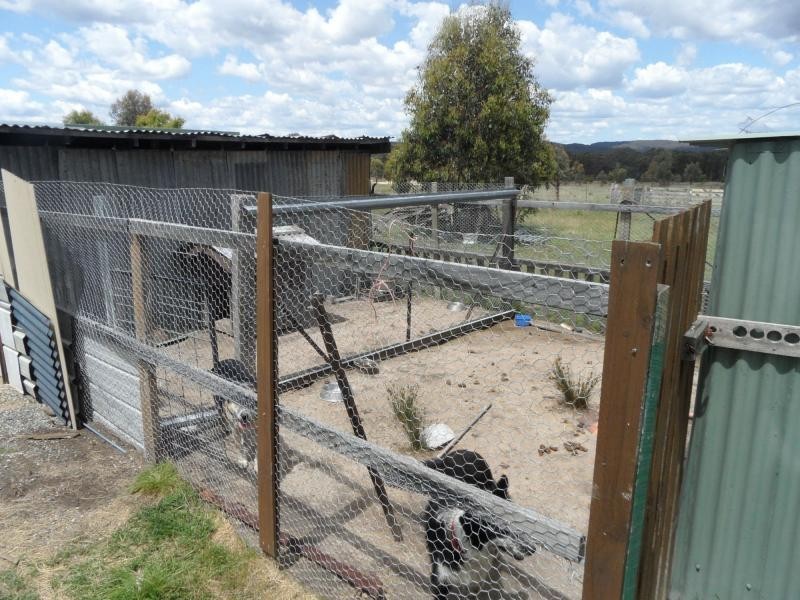 29 Ellerington Lane, Stanthorpe QLD 4380