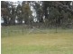 29 Ellerington Lane, Stanthorpe QLD 4380