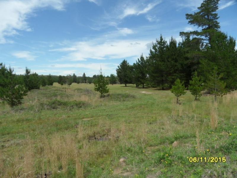 L5 Central Road, Sugarloaf, Stanthorpe QLD 4380