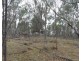 Lot 71 Old Stanthorpe Road, Dalveen QLD 4374
