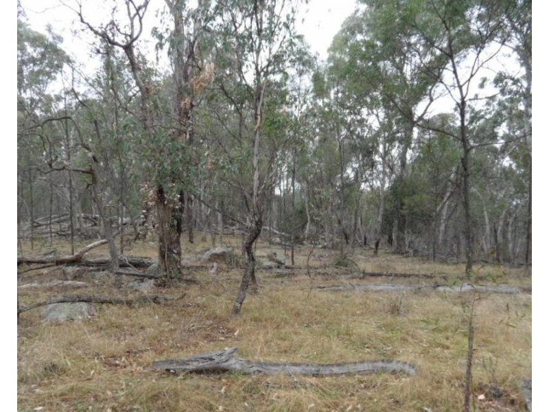 Lot 71 Old Stanthorpe Road, Dalveen QLD 4374
