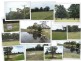 Lot 26 Cannon Creek Road, Stanthorpe QLD 4380