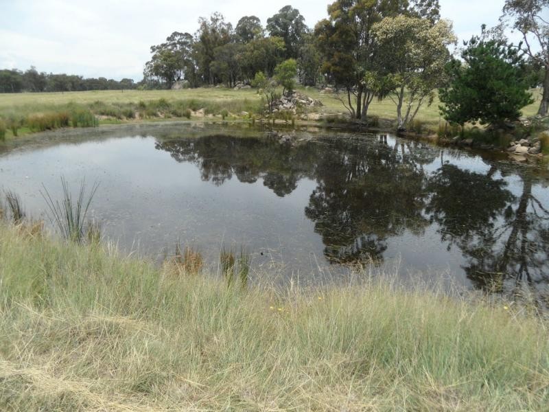 Lot 26 Cannon Creek Road, Stanthorpe QLD 4380