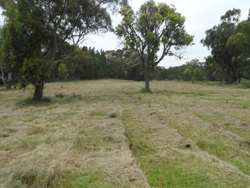 Lot 26 Cannon Creek Road, Stanthorpe QLD 4380