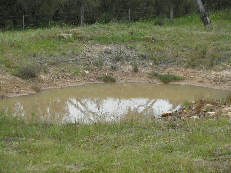Lot 26 Cannon Creek Road, Stanthorpe QLD 4380