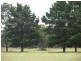 Lot 26 Cannon Creek Road, Stanthorpe QLD 4380