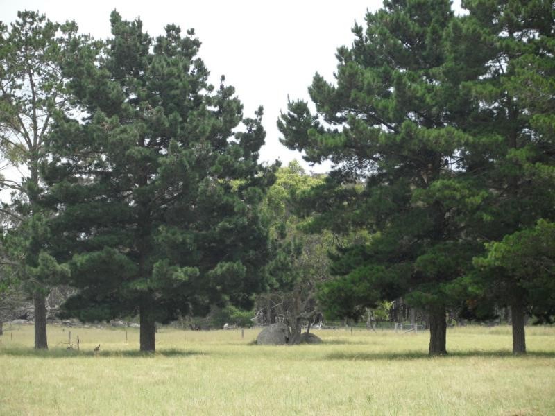 Lot 26 Cannon Creek Road, Stanthorpe QLD 4380
