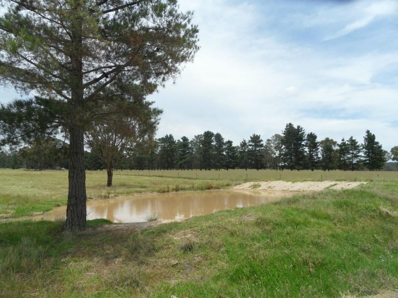 Lot 26 Cannon Creek Road, Stanthorpe QLD 4380