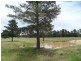 Lot 26 Cannon Creek Road, Stanthorpe QLD 4380