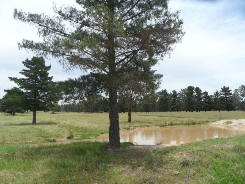 Lot 26 Cannon Creek Road, Stanthorpe QLD 4380