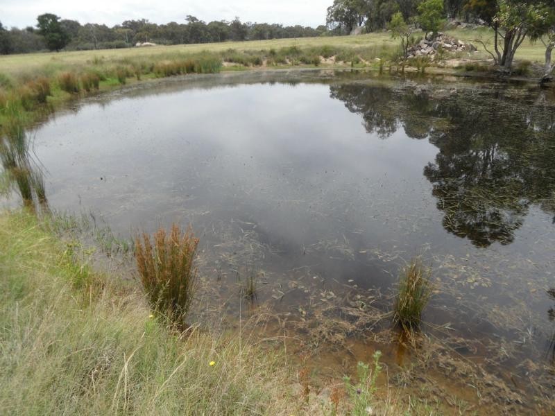 Lot 26 Cannon Creek Road, Stanthorpe QLD 4380