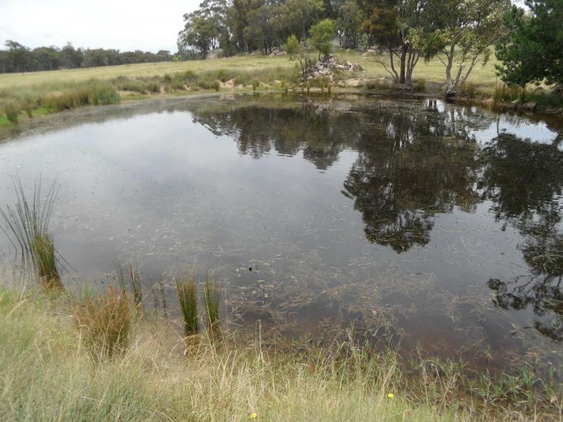 Lot 26 Cannon Creek Road, Stanthorpe QLD 4380