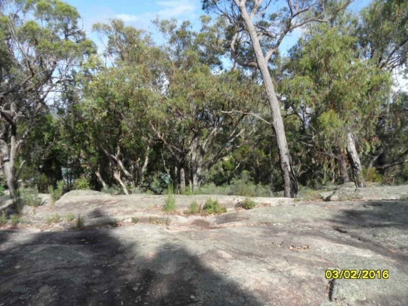 Stanthorpe QLD 4380