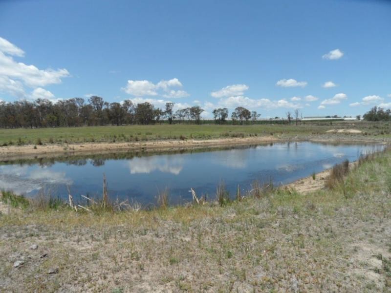 136 Gangemi Road, Cottonvale, Stanthorpe QLD 4380
