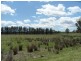 136 Gangemi Road, Cottonvale, Stanthorpe QLD 4380