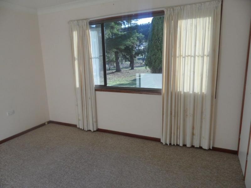 136 Gangemi Road, Cottonvale, Stanthorpe QLD 4380