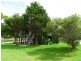 50 Middleton Road, Cottonvale, Stanthorpe QLD 4380