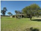 985 Sorrento Road, Dalveen, Dalveen QLD 4374