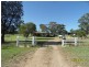 985 Sorrento Road, Dalveen, Dalveen QLD 4374