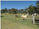 985 Sorrento Road, Dalveen, Dalveen QLD 4374
