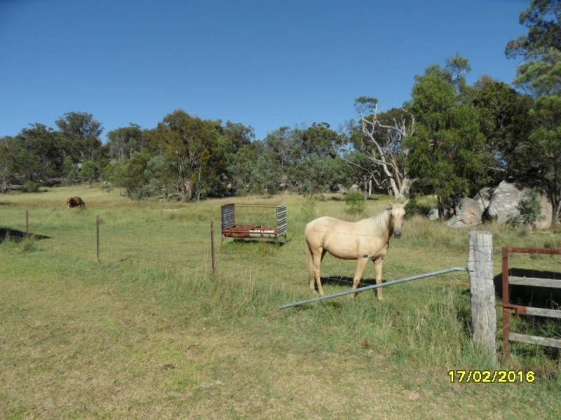 985 Sorrento Road, Dalveen, Dalveen QLD 4374