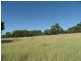 985 Sorrento Road, Dalveen, Dalveen QLD 4374