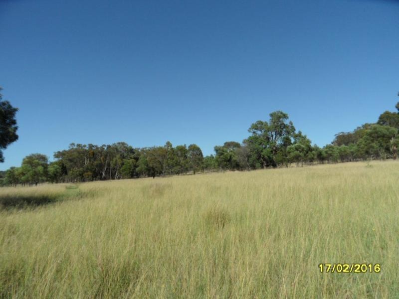 985 Sorrento Road, Dalveen, Dalveen QLD 4374